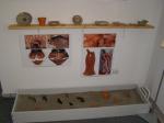 expo tabara 05.jpg